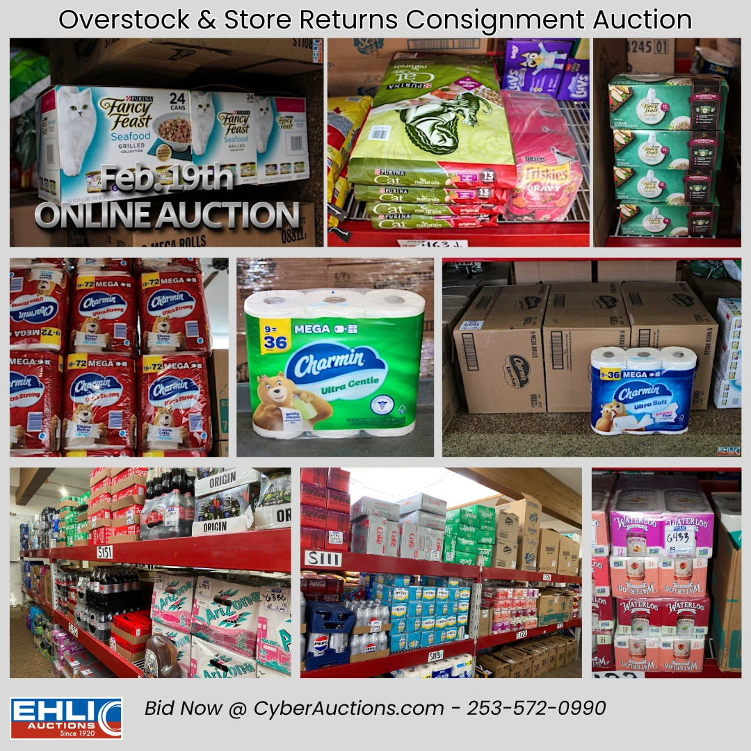 Overstock & Store Returns Auction